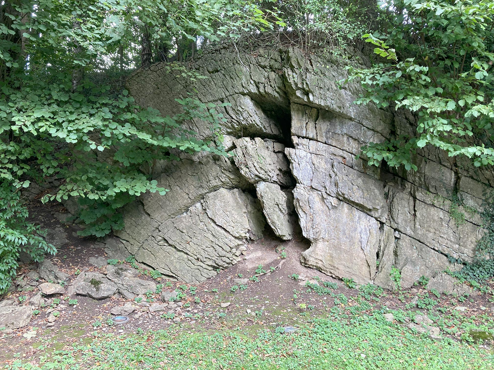 Der Tillmannsdorfer Sattel bei Dornap in NRW: Der Kohlenkalk als geothermisches Erkundungsziel wird im Rheinischen Revier in über 1.000 Tiefe erwartet und tritt bei Dornap an der Oberfläche zu Tage. Deutlich sieht man durch Faltung hervorgerufene Klüfte, durch die Thermalwasser fließen könnte. 